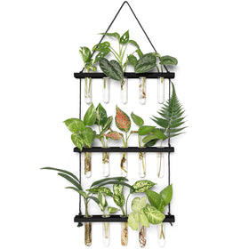 Mkono 3-tier wall hanging terrarium with wooden frame and glass tubes for propagation