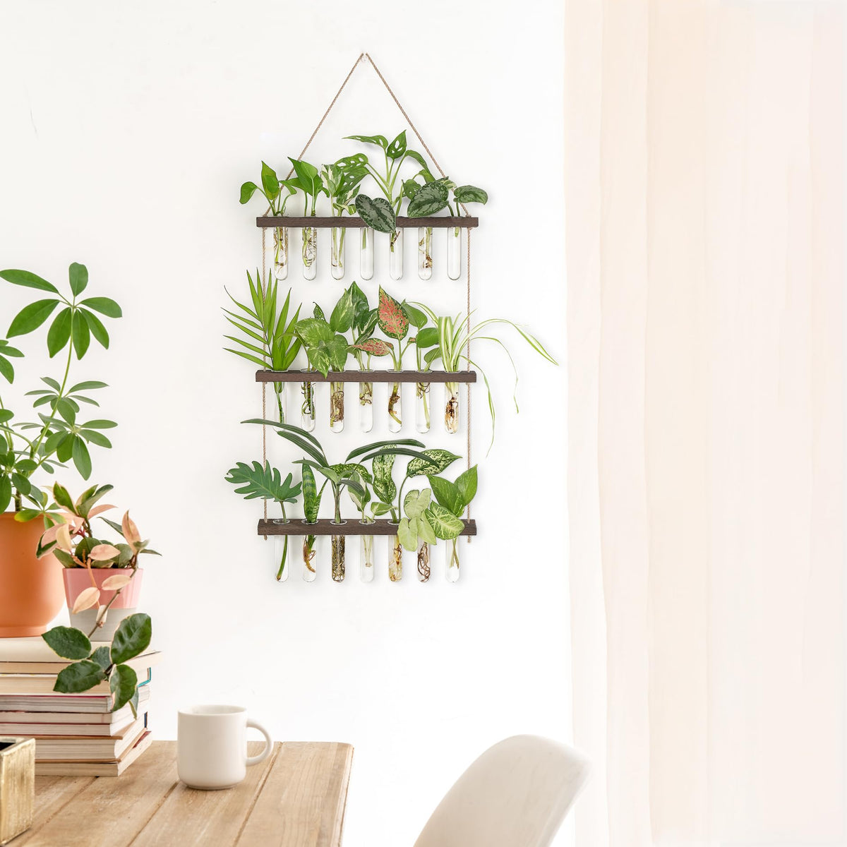 Mkono three-tier wall-mounted terrarium enhances home decor