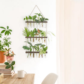 Mkono three-tier wall-mounted terrarium enhances home decor