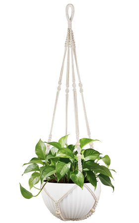 Mkono 43-inch macrame plant hanger provides a dramatic focal point for a 12-inch pot.
