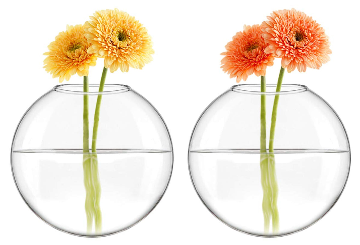 Mkono bathroom decor terrarium adds greenery to a bathroom shelf