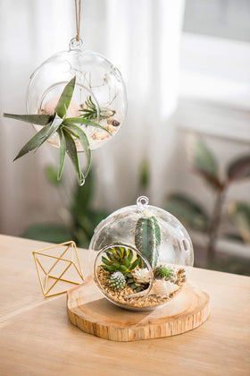 Mkono wedding and festive decor terrarium adds warmth.