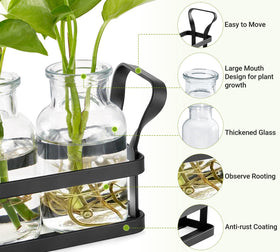 Mkono clear glass propagator close-up for watching root growth.