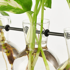Mkono color-friendly display ideas for fresh cuttings or florals.
