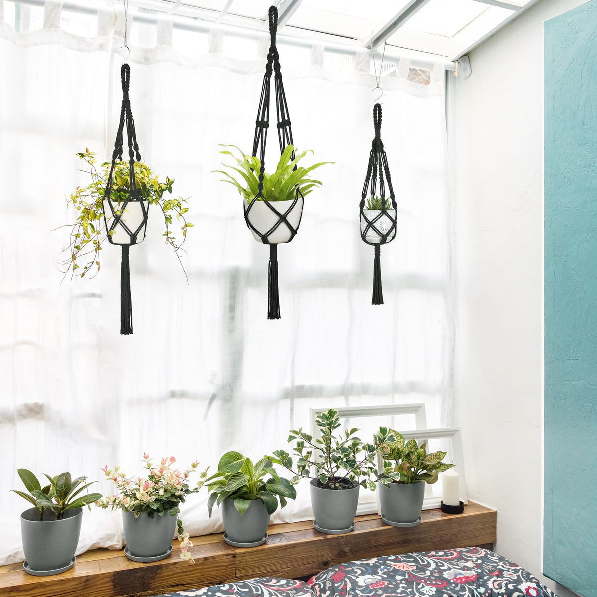Mkono three-pack macrame plant hangers arranged with pots for cozy indoor display