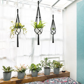 Mkono three-pack macrame plant hangers arranged with pots for cozy indoor display
