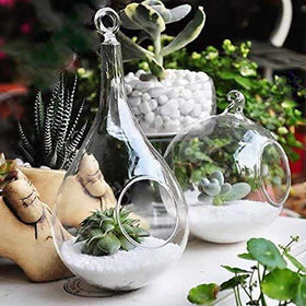 Mkono DIY fairy garden terrarium with tiny greenery