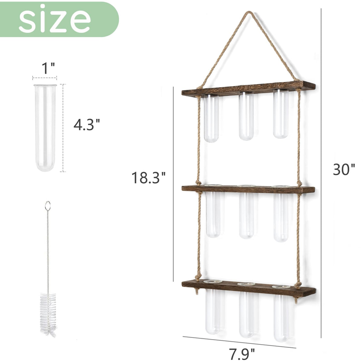 Compact Mkono dorm-room or office terrarium with easy care display.