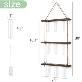 Compact Mkono dorm-room or office terrarium with easy care display.