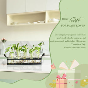 Mkono farmhouse saucer keeps bottles stable while enhancing indoor garden vibes.