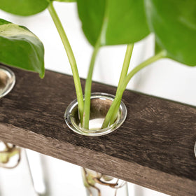 Decorative Mkono floral arrangement with glass tubes enhances windowsills and tabletops.
