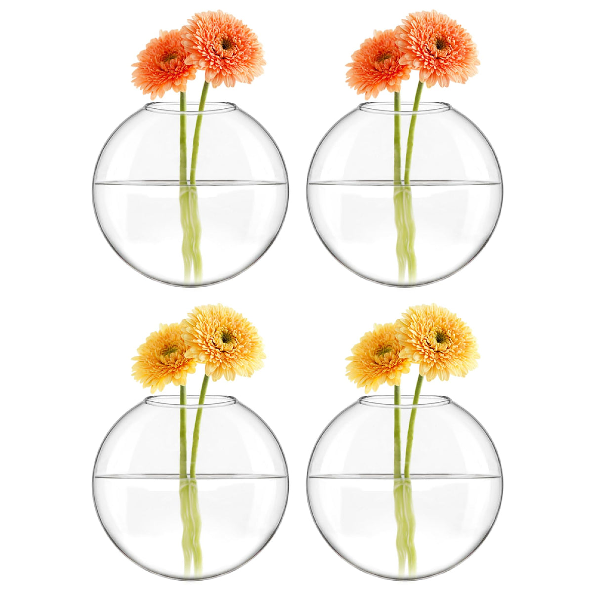Mkono four-pack wall vases create cohesive plant displays