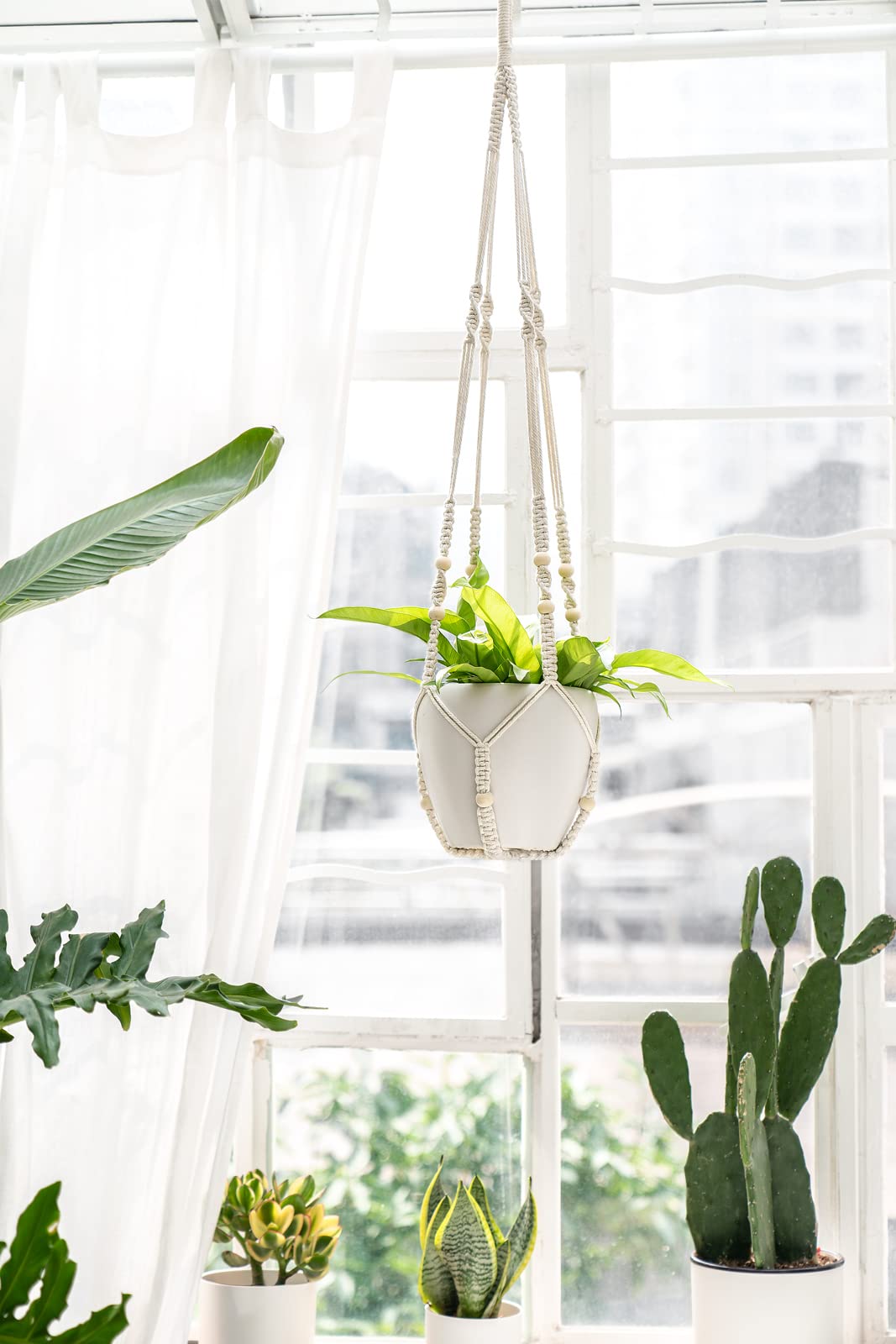 Mkono boho hanging planter elevates any room with height and texture.