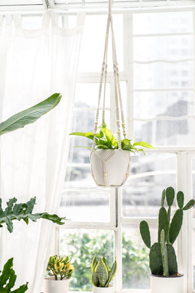 Mkono boho hanging planter elevates any room with height and texture.