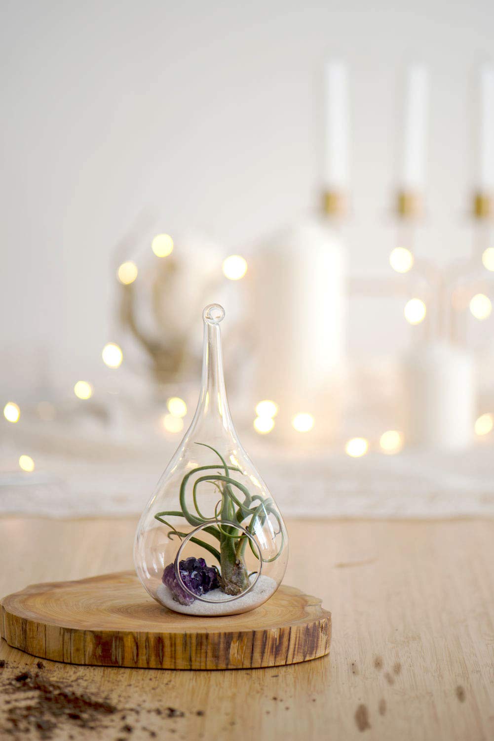 Mkono glass terrarium closeup shows clear, lightweight glass