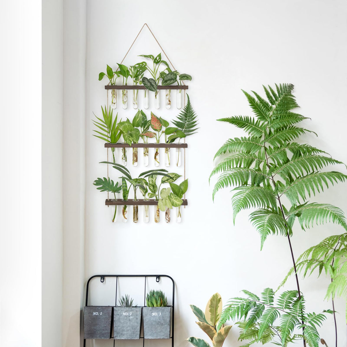 Mkono glass test tubes enable easy water changes