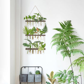 Mkono glass test tubes enable easy water changes
