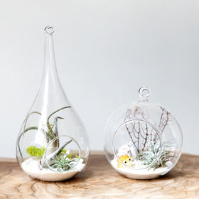 Mkono globe terrarium hanging adds a modern mini garden.