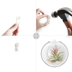 Mkono high boron silicon glass plant containers offering clear visibility of growth