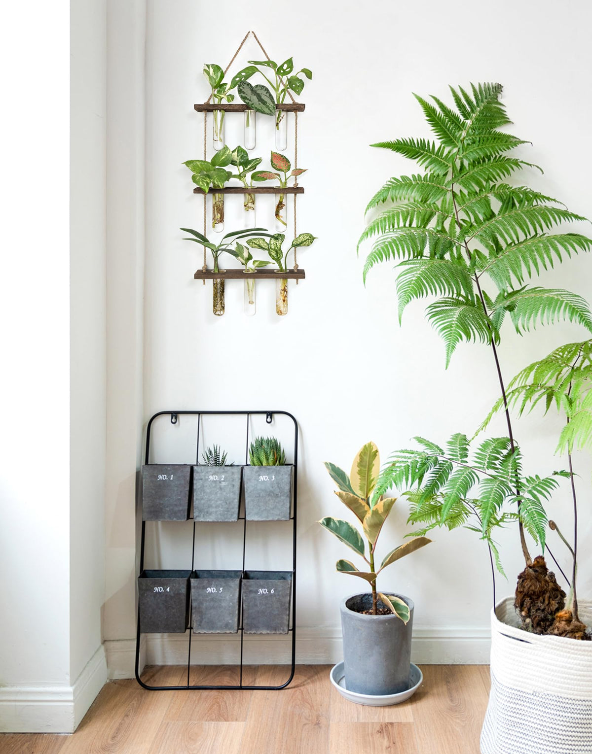 Hydroponic cuttings displayed attractively for home or office decor.
