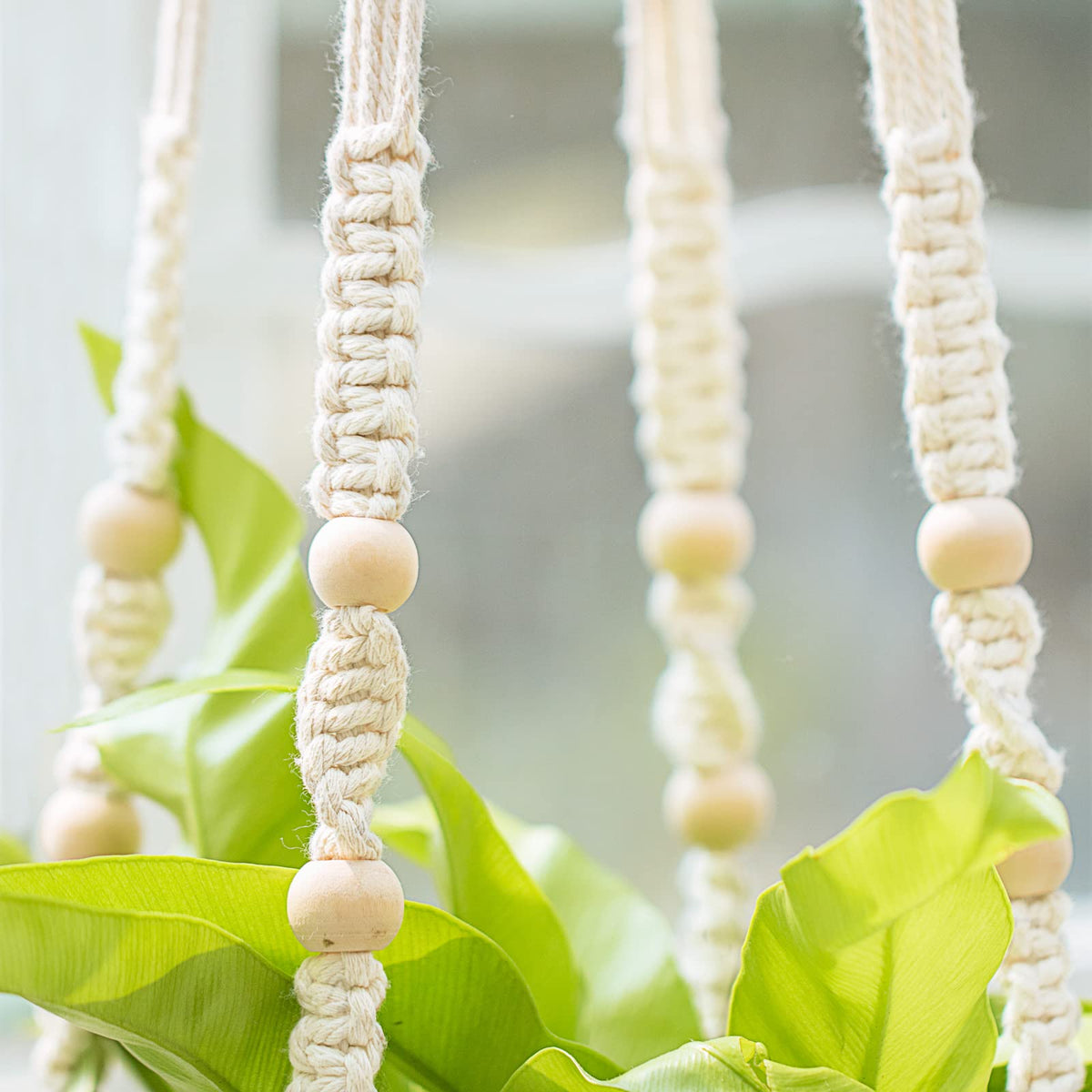 Mkono cotton cord weave delivers sturdy support for various planters.