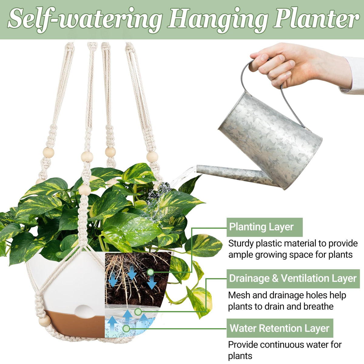 Mkono living-room display adds greenery with hanging planters.