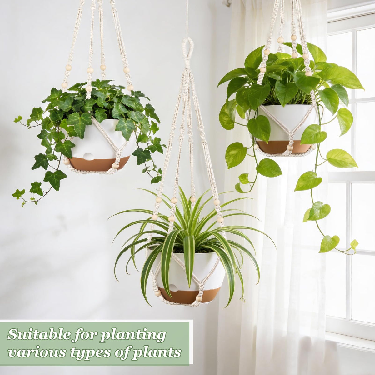 Mkono macrame indoor hanger displays lush greenery with boho charm.