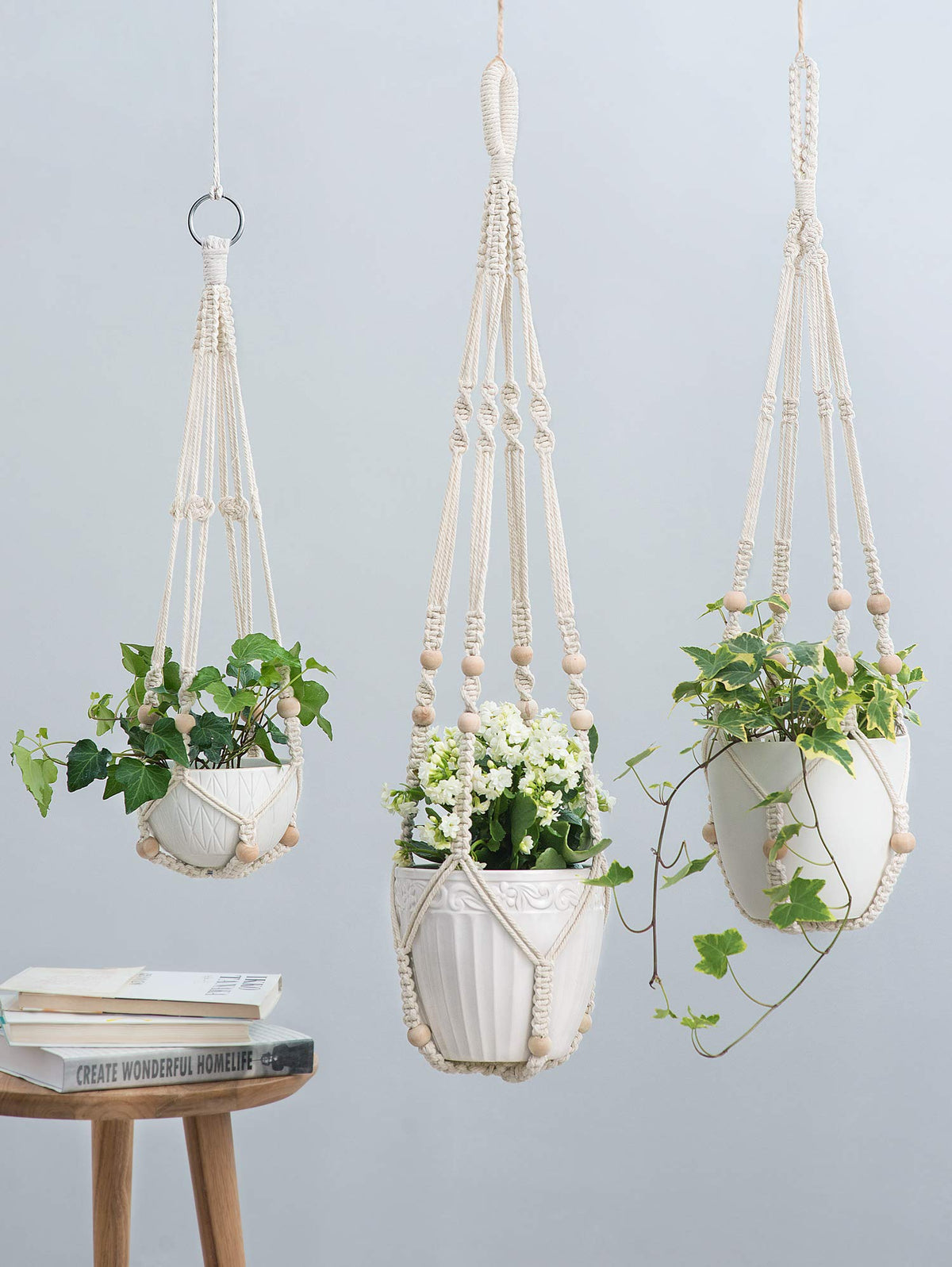 Mkono macrame plant hanger 23-inch ivory suits compact plants beautifully.