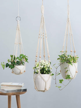 Mkono macrame plant hanger 23-inch ivory suits compact plants beautifully.