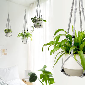 Mkono macrame plant hanger grey hanging setup ready for plant display.