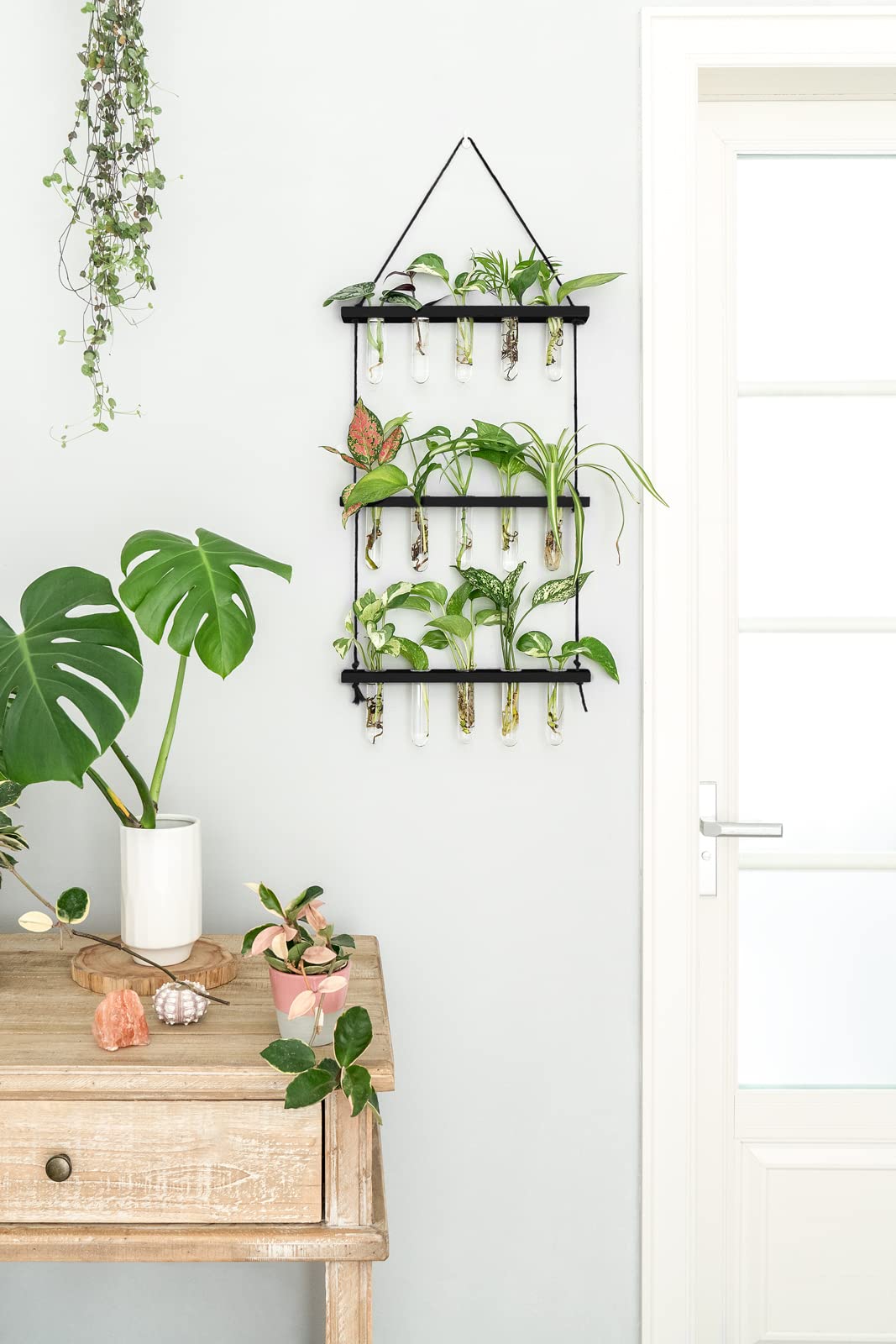 Mkono mini test tube plant vase holding cuttings with elegant glass vessels