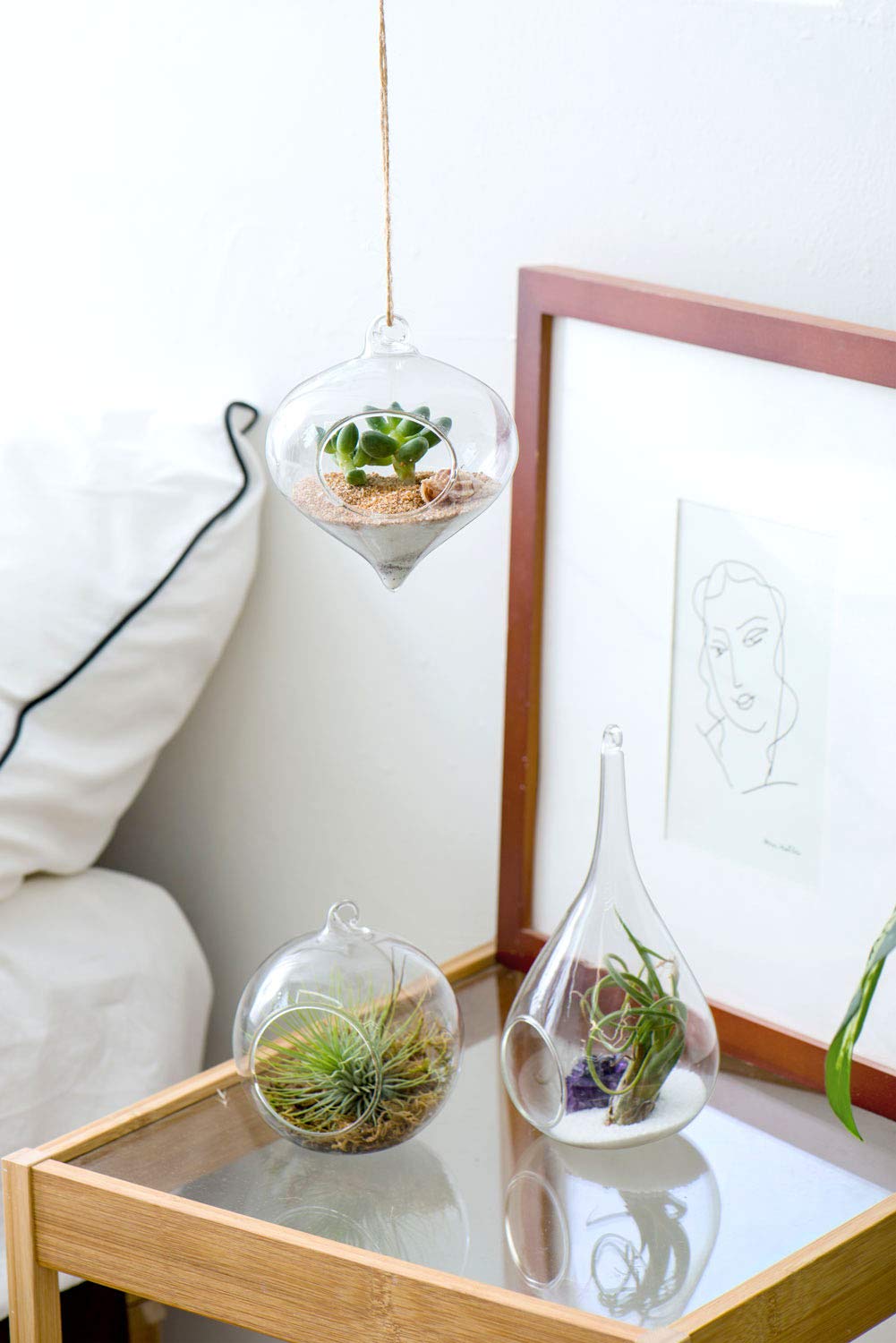 Mkono olive terrarium hanging brings greenery to small spaces