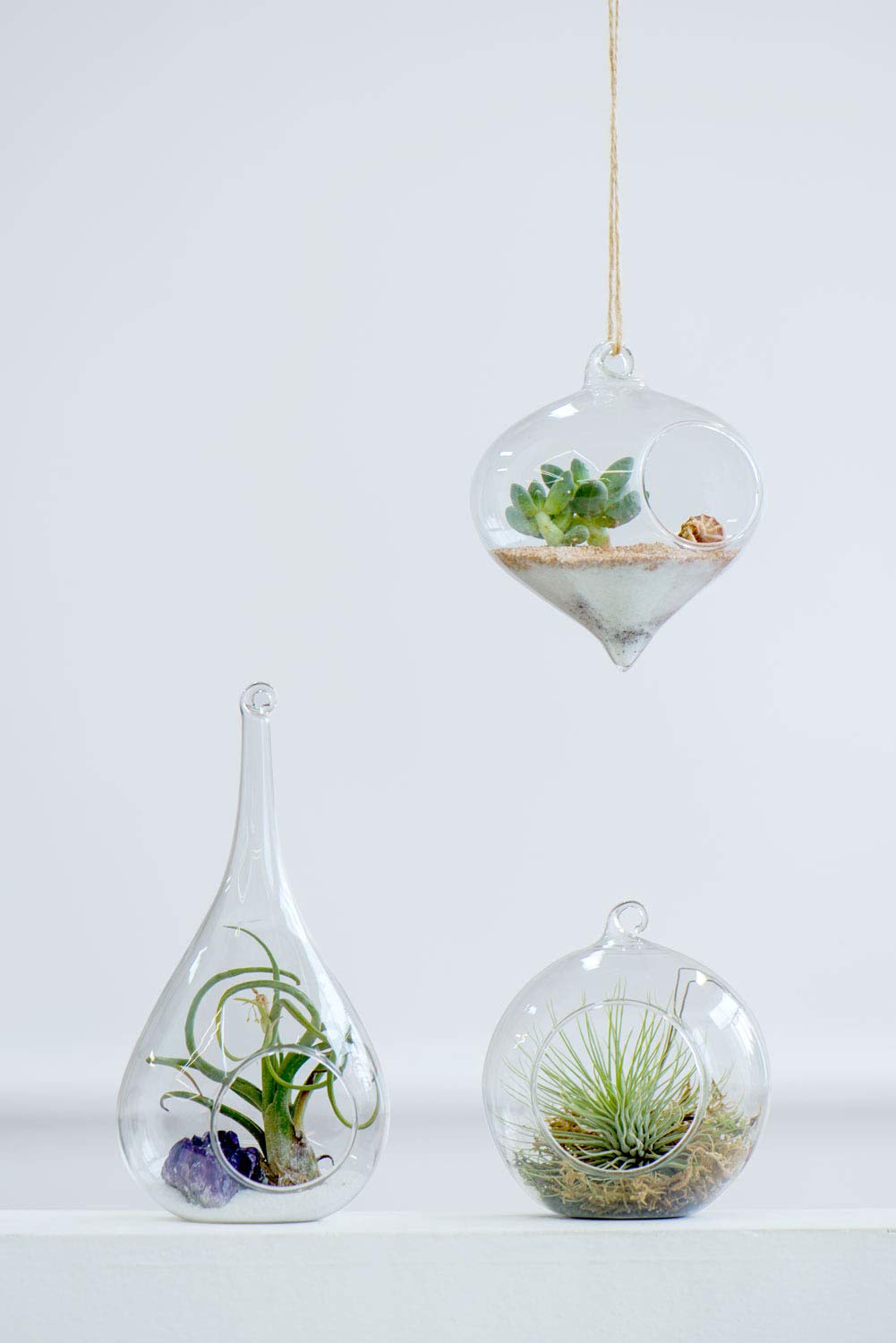 Mkono orb globe terrarium hanging adds a sleek focal point
