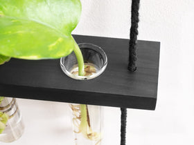 Mkono propagation display idea elevating home decor while nurturing cuttings