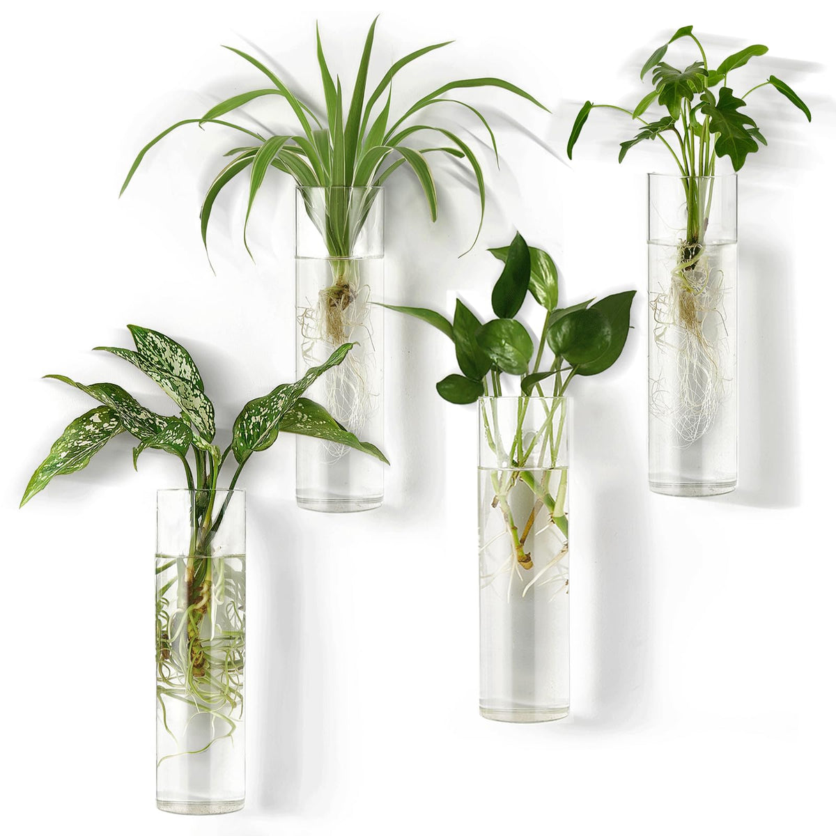Mkono Propagation Station wall planter with glass tubes for clear plant watching