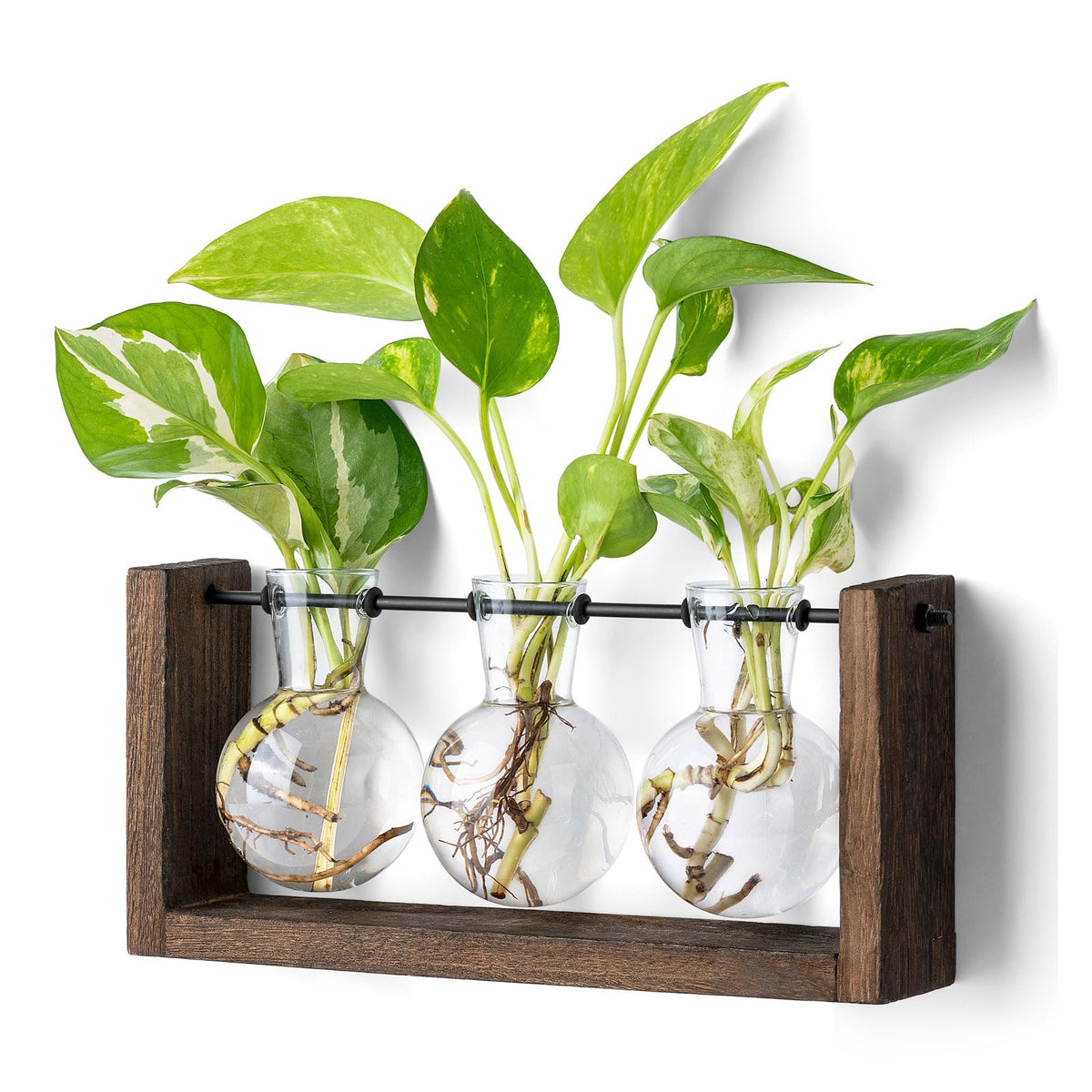 Mkono propagation station with wooden stand displaying three bulb vases for hydroponics.