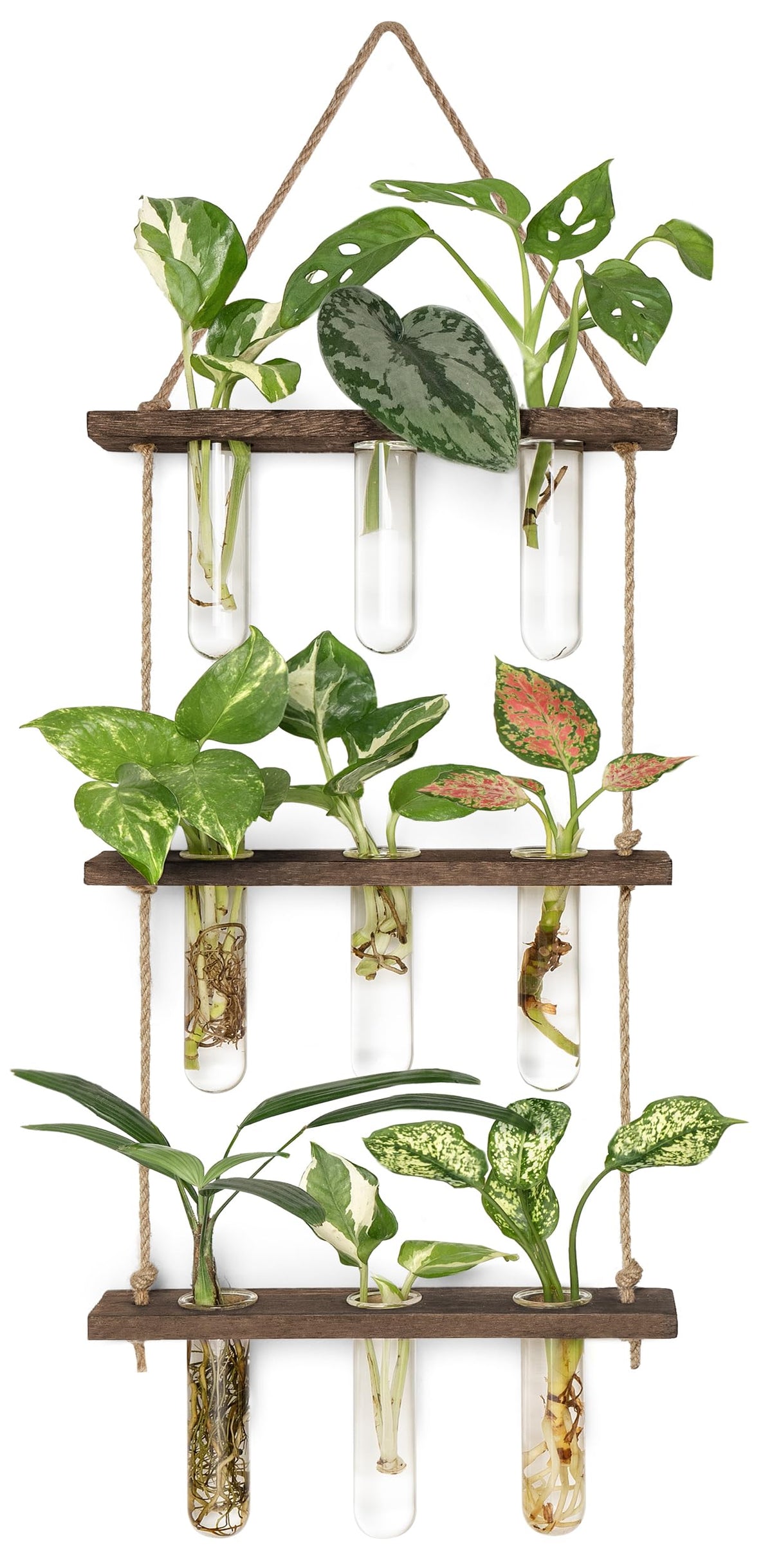 Mkono propagation tubes on a 3-tier wall terrarium for compact plant propagation.