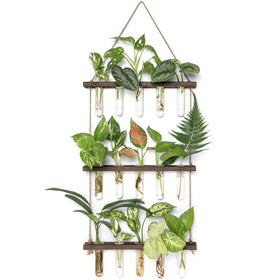 Mkono propagation tubes on a 3-tier wooden stand for organized plant cuttings.