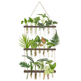 Mkono propagation tubes on wooden stand showing clear roots
