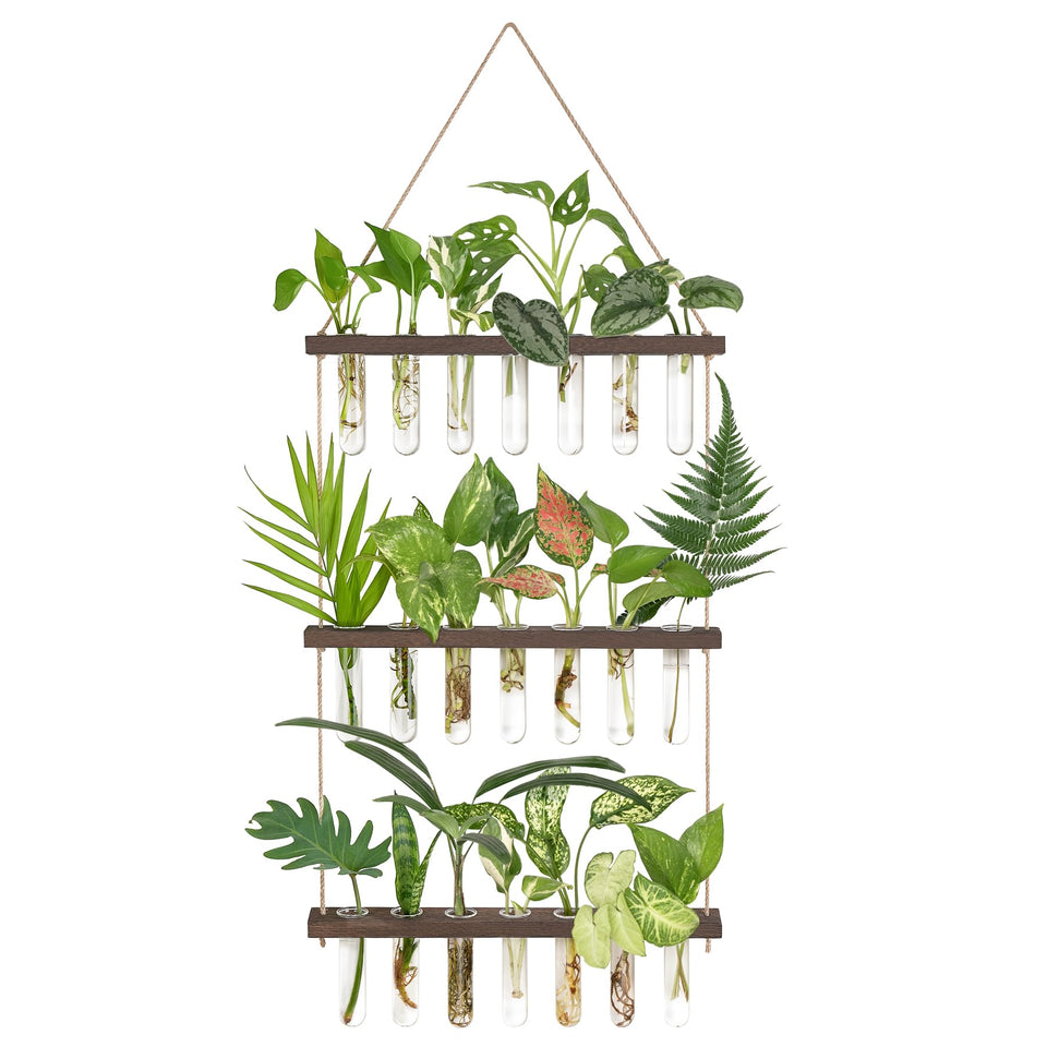 Mkono propagation tubes on wooden stand showing clear roots