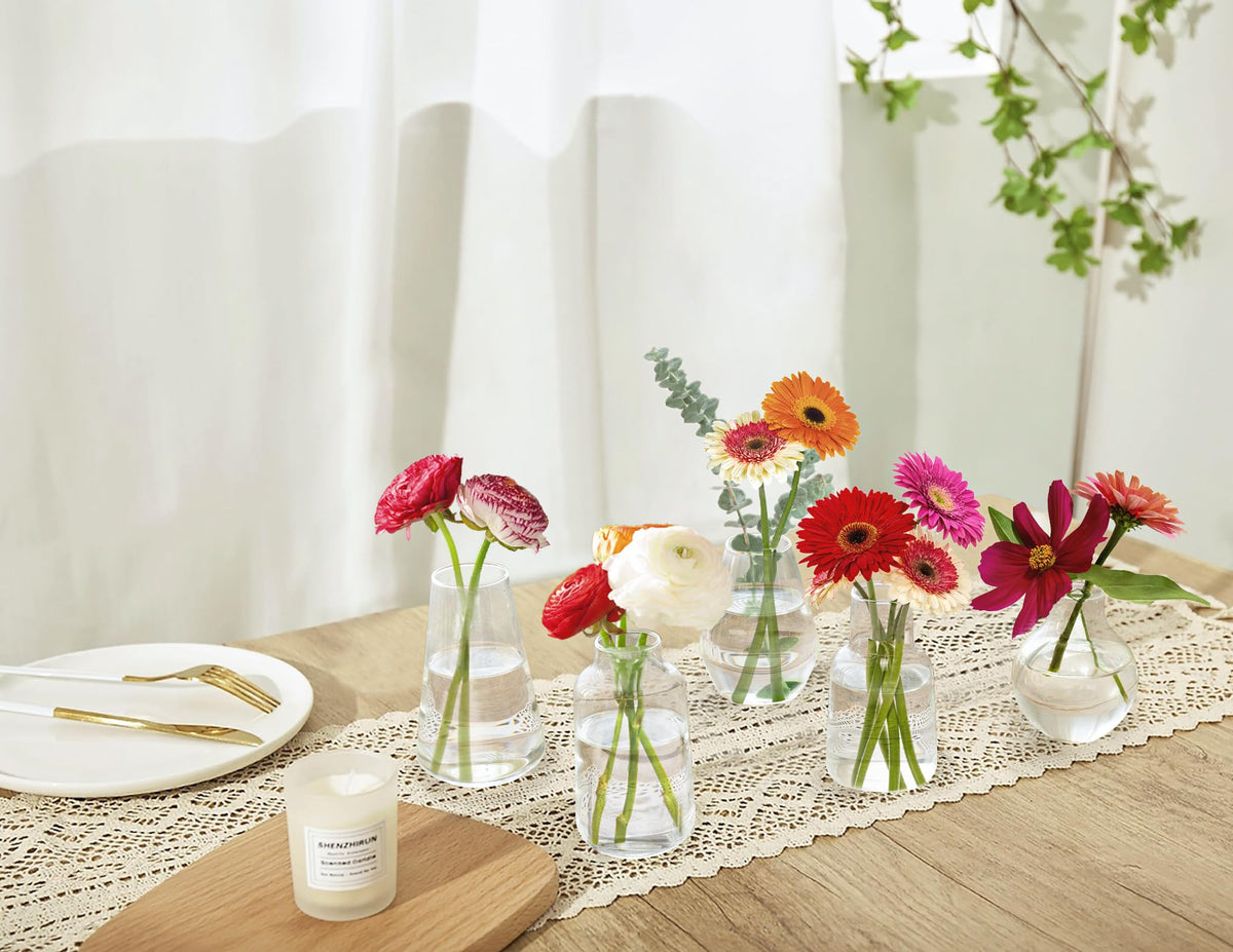 Mkono baby cuttings display with lush greens in transparent vases.