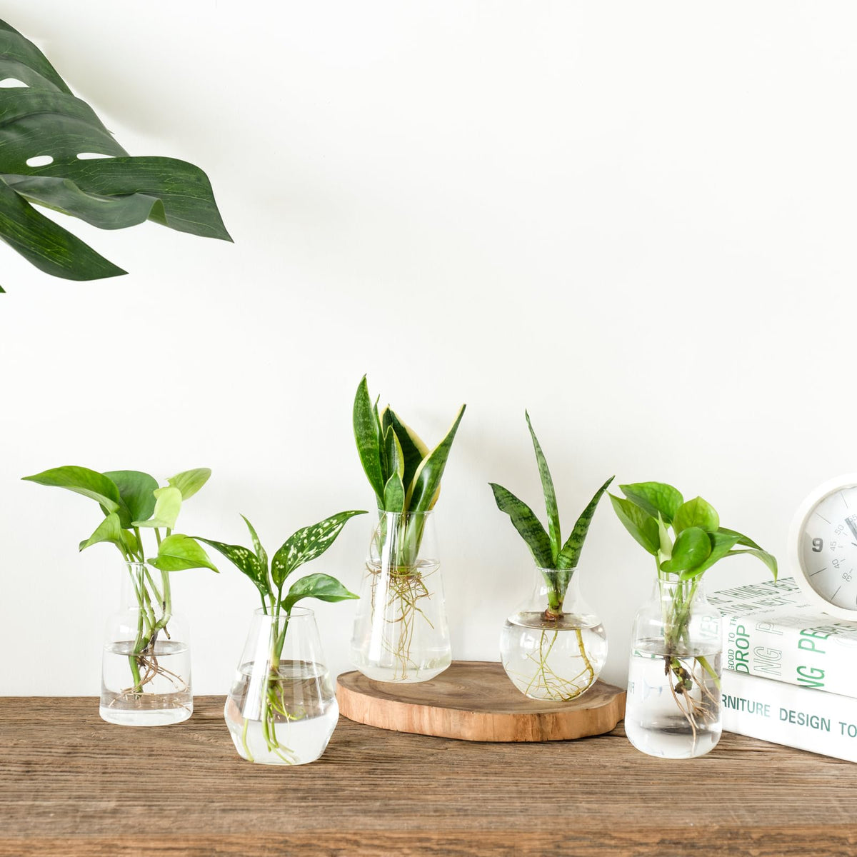 Mkono gift set of propagation vases ideal for plant lovers.