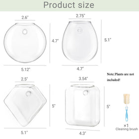 Mkono propagation wall hanging terrarium egg-shaped, natural light friendly display.