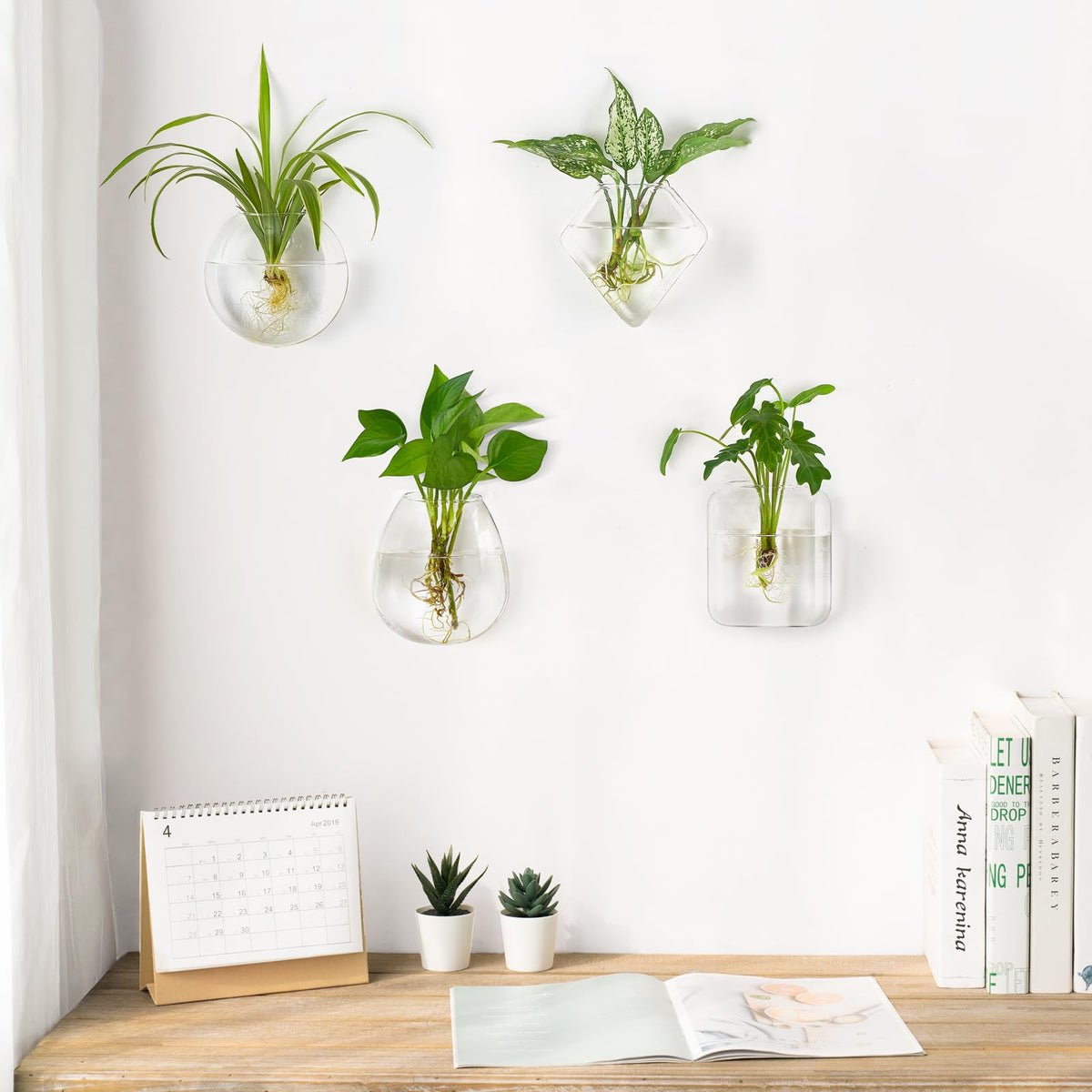 Mkono propagation wall hanging terrarium hexagon, modern display for plants.