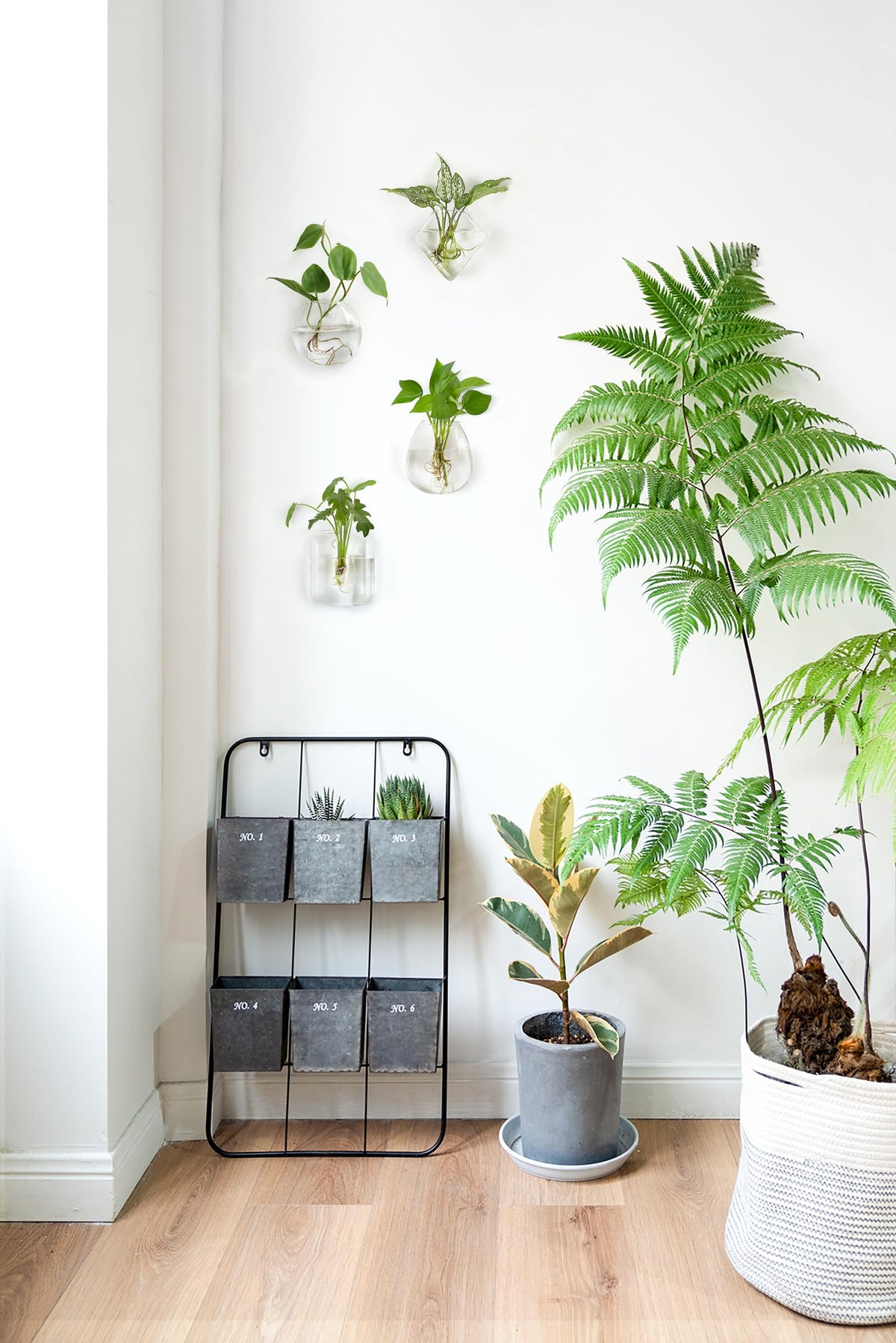 Mkono propagation wall hanging terrarium square, elegant wall planter for hydroponics.