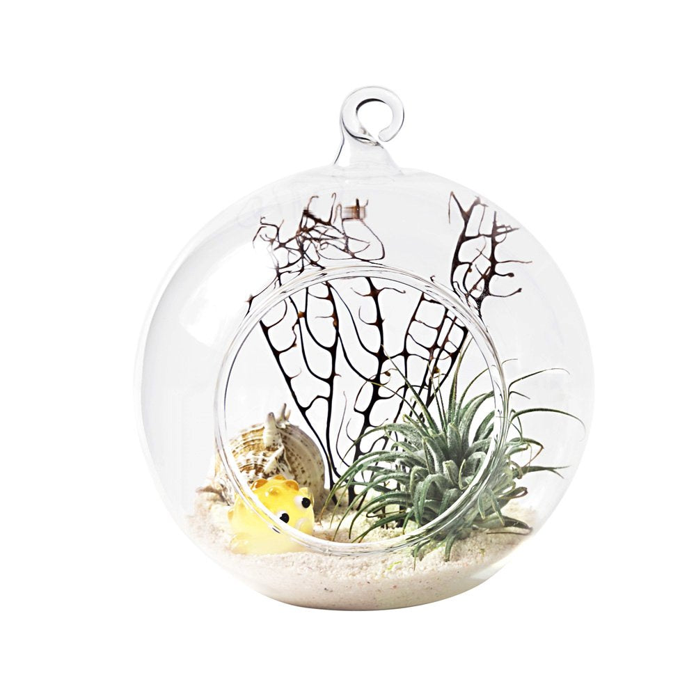 Mkono small plant display glass vase for desks.