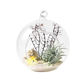 Mkono small plant display glass vase for desks.
