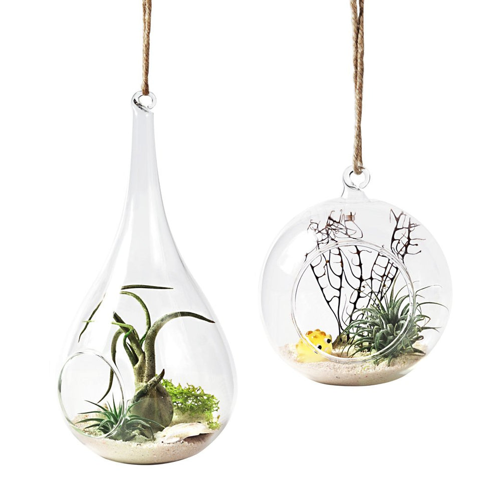 Mkono teardrop terrarium hanging decor for compact spaces.