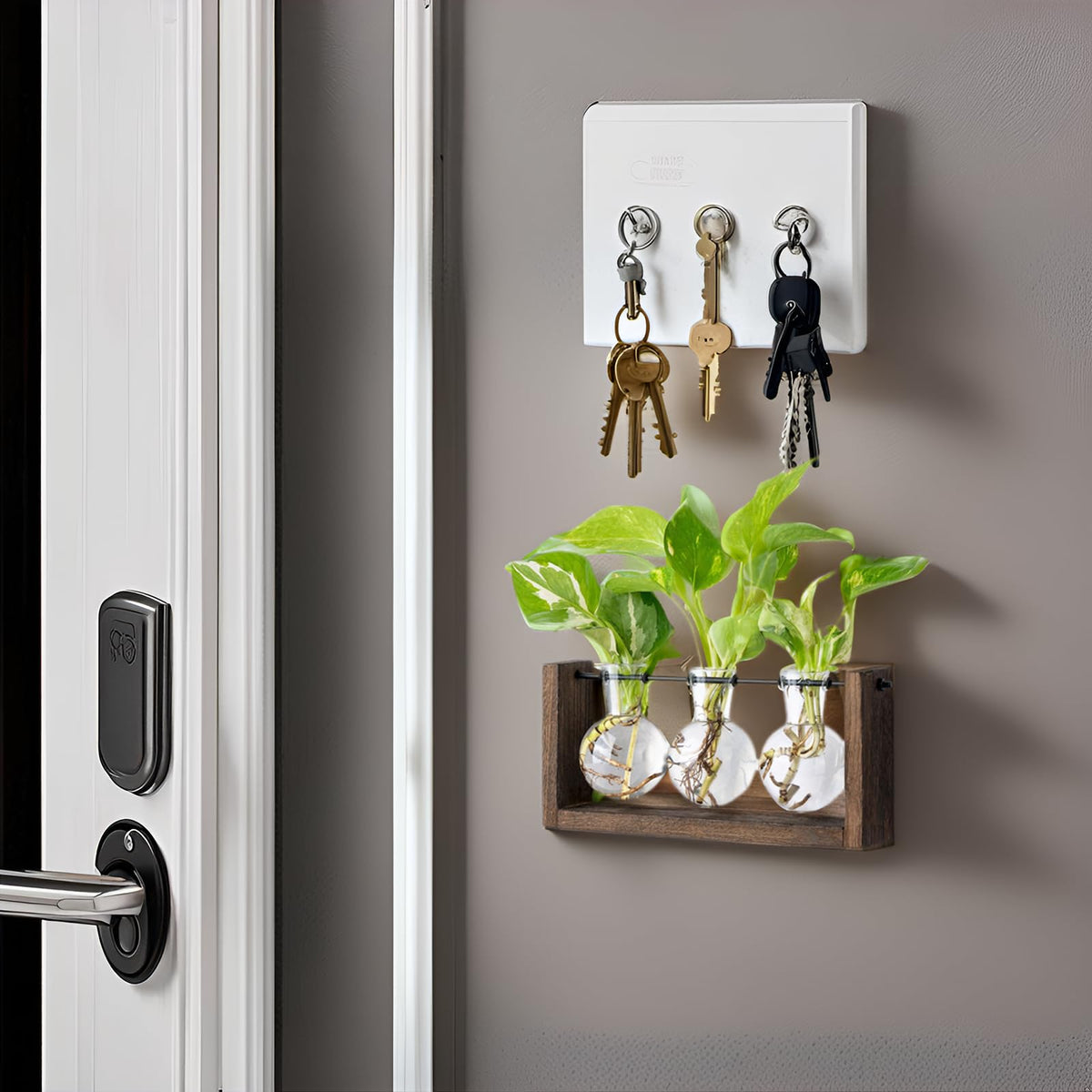 Mkono three bulb vases offer visible root growth through clear glass.