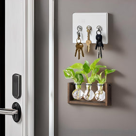 Mkono three bulb vases offer visible root growth through clear glass.